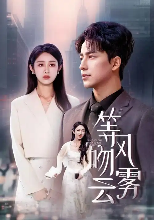 动漫片子《齿轮与雨》封面